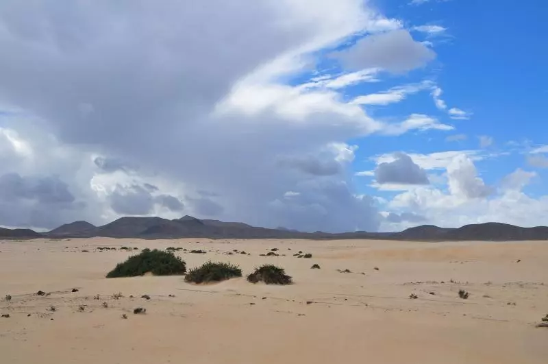Fuerteventura (c) Alesia Belaya